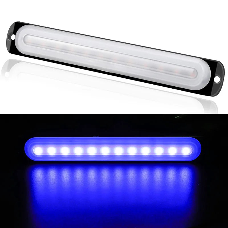 I-BS-D-C-12LED-B