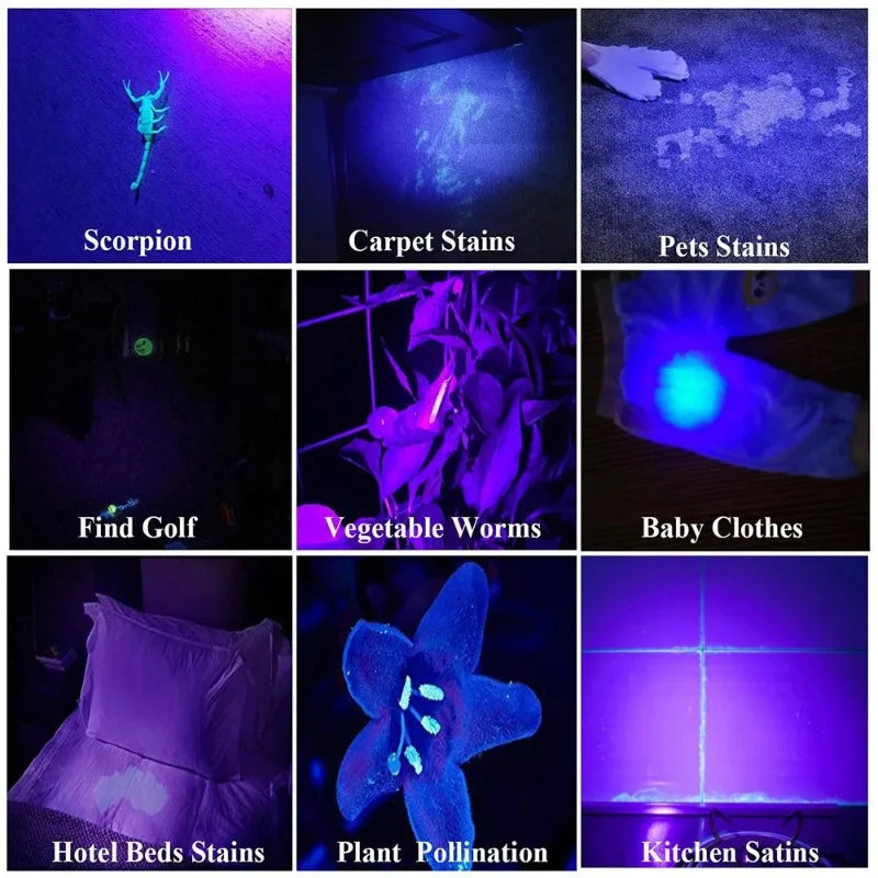 365nm UV Flashlight Type C Rechargeable Filtered LED Ultraviolet Detection Torch Pet Pee Urine, Rocks Gem Money Detector