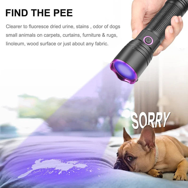 365nm UV Flashlight Type C Rechargeable Filtered LED Ultraviolet Detection Torch Pet Pee Urine, Rocks Gem Money Detector