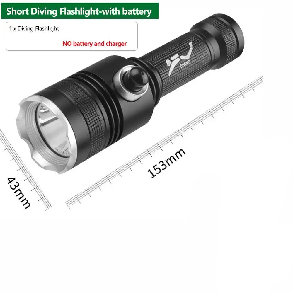 diving-light-D239-S