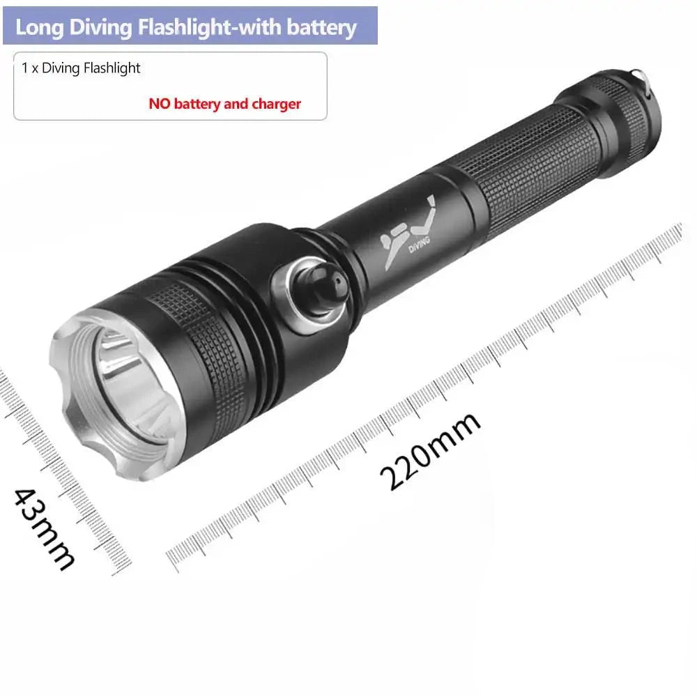 diving-light-D239-L