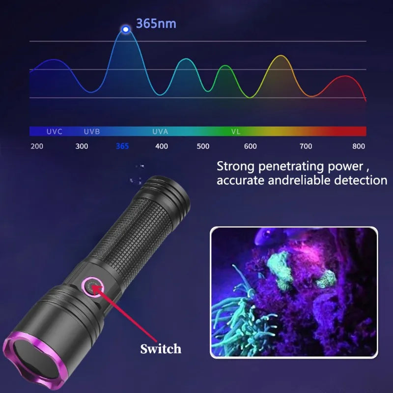 365nm UV Flashlight Type C Rechargeable Filtered LED Ultraviolet Detection Torch Pet Pee Urine, Rocks Gem Money Detector