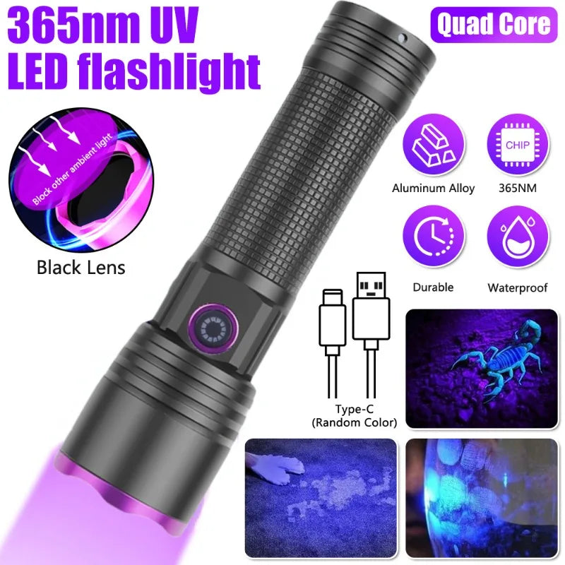 flashlight-1367