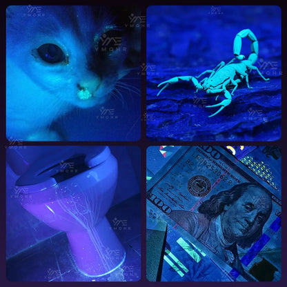 365nm LED UV Flashlight USB Rechargeable UV Light Pet Cat Dog Urine Ringworm DetectionAluminum Alloy Money Jewelry Black Light